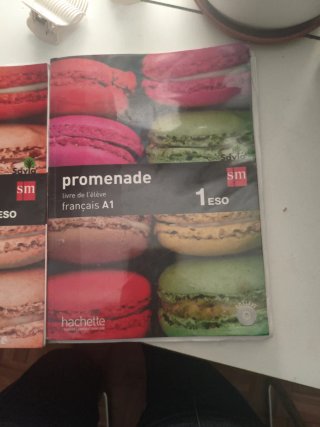 Promenade, français A1, 1 Secundaria Cahier d'a...