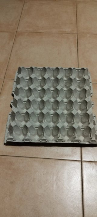 100 Cartones para huevos