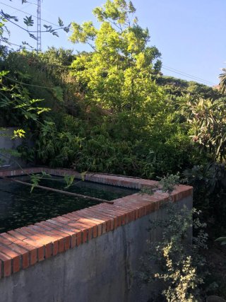 Casa de campo con parcela y pozo