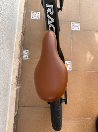 Bicicleta de equilibrio infantil