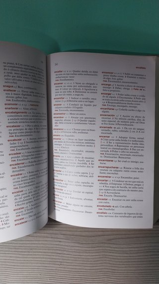 Pequeno dicionario Xerais da lingua
