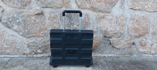 Carrito plegable negro
