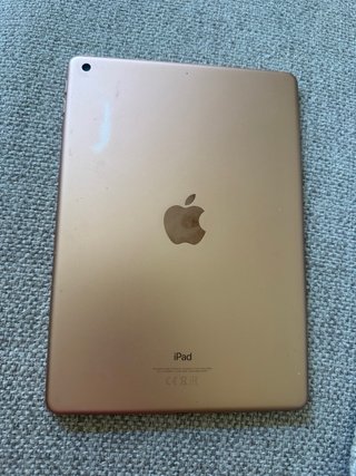 Apple iPad