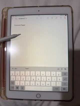 Apple iPad