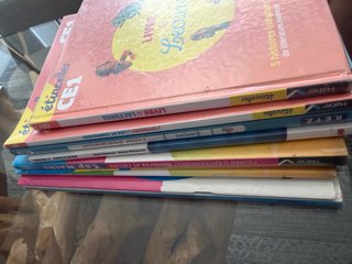 Lote 10 libros escolares Primaria CE1 – Francés