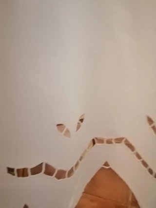 Tenda per vetro ricamata. Decorazioni per interni