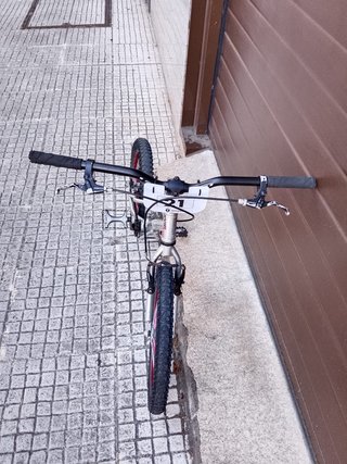 Bici Biketrial Infantil Monty Kamel 205