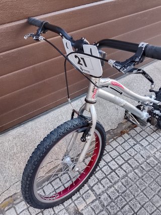 Bici Biketrial Infantil Monty Kamel 205