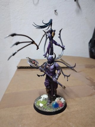 Ejército Slaanesh Pintado