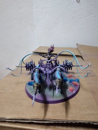 Ejército Slaanesh Pintado