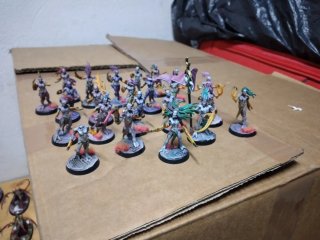 Ejército Slaanesh Pintado