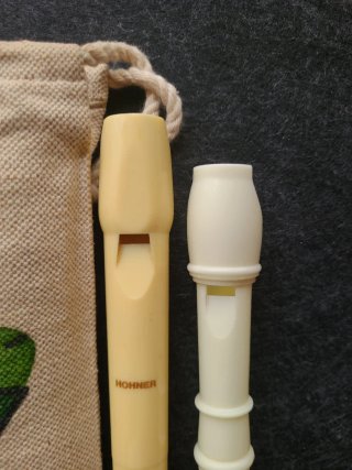 Lote 2 Flautas Escolares + Funda Serpiente