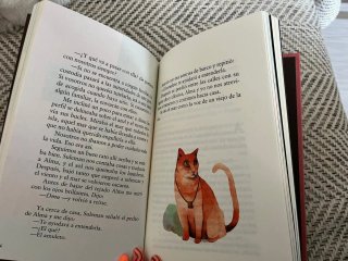 Alma y la isla