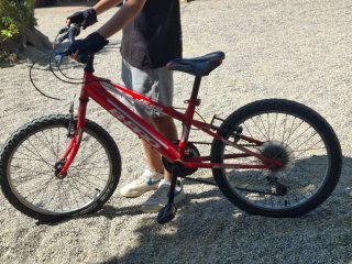 Bicicleta infantil B PRO JR 20