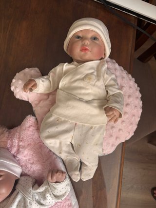 Litera Bebés Reborn + Ropa