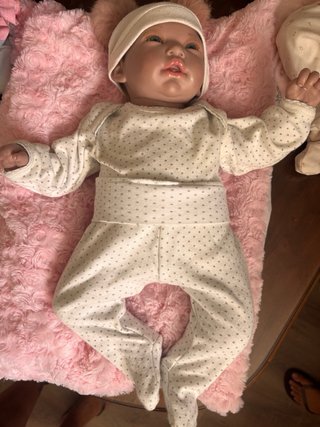 Litera Bebés Reborn + Ropa