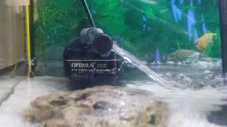 Acuario 60L Aqua LED Calentador Termòmetre 3 meses