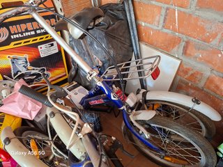 Bicicleta Plegable Boomerang PS 1.3