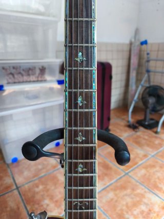 Guitarra Indie Flor de Lys Tipo Les Paul