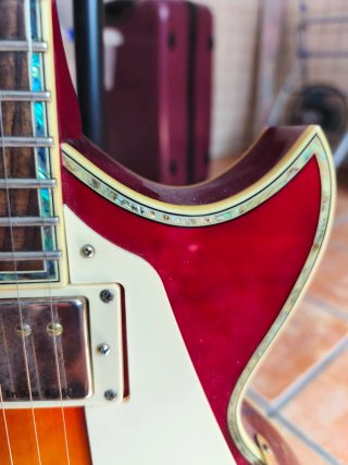 Guitarra Indie Flor de Lys Tipo Les Paul