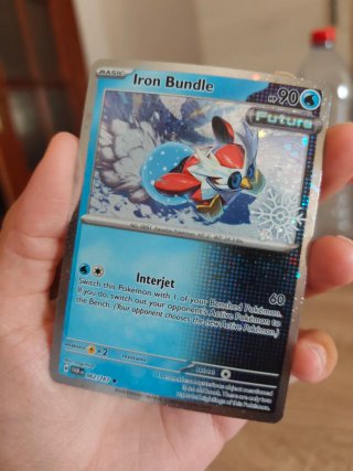 Carta Pokémon Iron Bundle 062/167