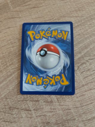 Carta Pokémon Iron Bundle 062/167