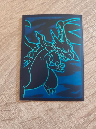 Carta Pokémon Iron Bundle 062/167