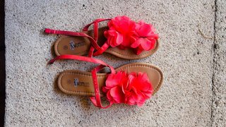Lote de sandalias de mujer variadas