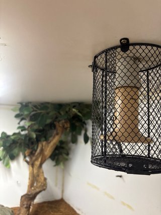 Terrario para reptiles beige y blanco