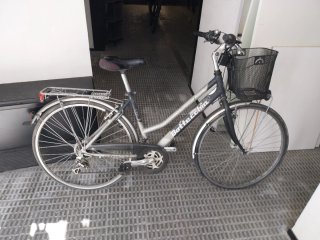 Bicicleta Paseo Bottecchia