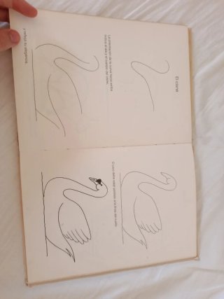 Libro aprende a dibujar animales salvajes