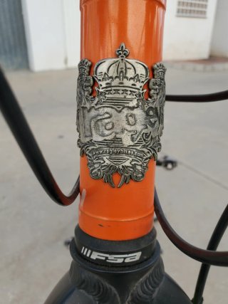 Bici MTB/Gravel Naranja