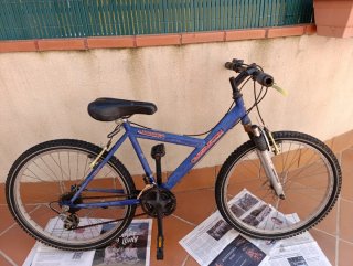 Bicicleta azul montaña