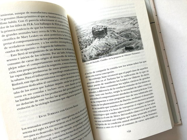 Los fósiles de nuestra evolución ANTONIO ROSAS