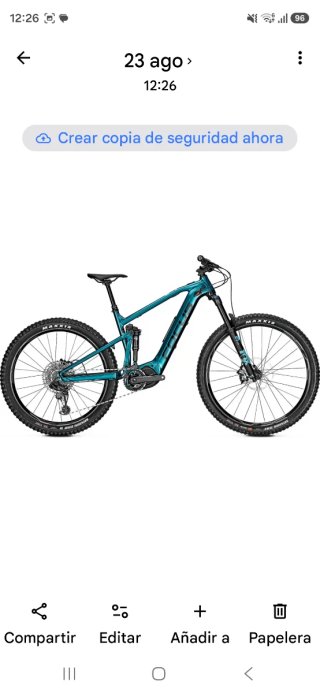 Focus Jam2 Drifte Ebike