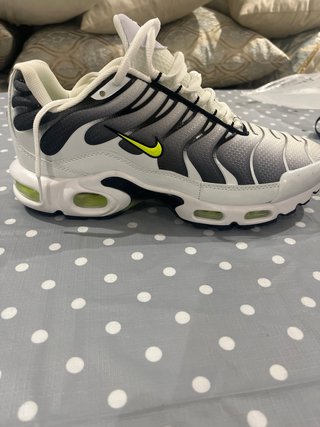 Nike Air Max Plus TN Gris Blanco