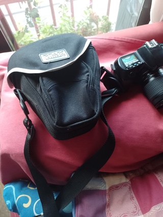 Nikon F70