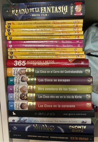 Lote de libros infantiles y juveniles