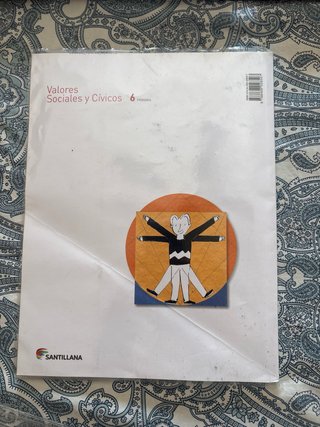 Lote libros 6 primaria