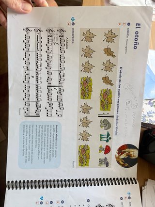 Lote libros 6 primaria