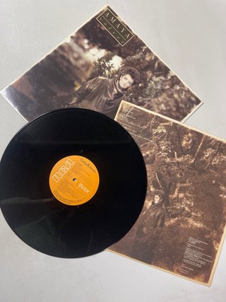 Vinilo Amaya - Volver