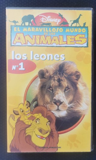 Libri e VHS Disney Magic English