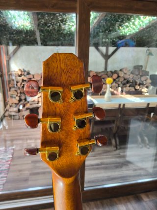 Harley Benton Travel GS Mahogany