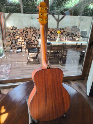 Harley Benton Travel GS Mahogany