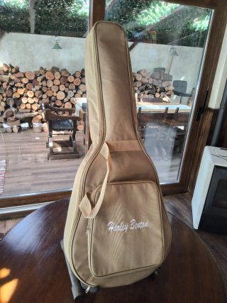 Harley Benton Travel GS Mahogany