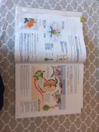 Biología y Geología 1 ESO