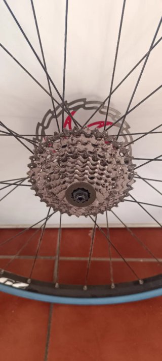 Rodillo entrenamiento bici + Rueda