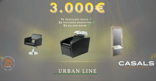 Mobiliario de peluquería valorado en 3.000€
