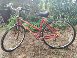 Bicicleta Schwinn Clásica Americana 700C LISTA