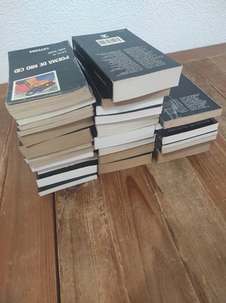 Lote Cátedra Letras Hispánicas